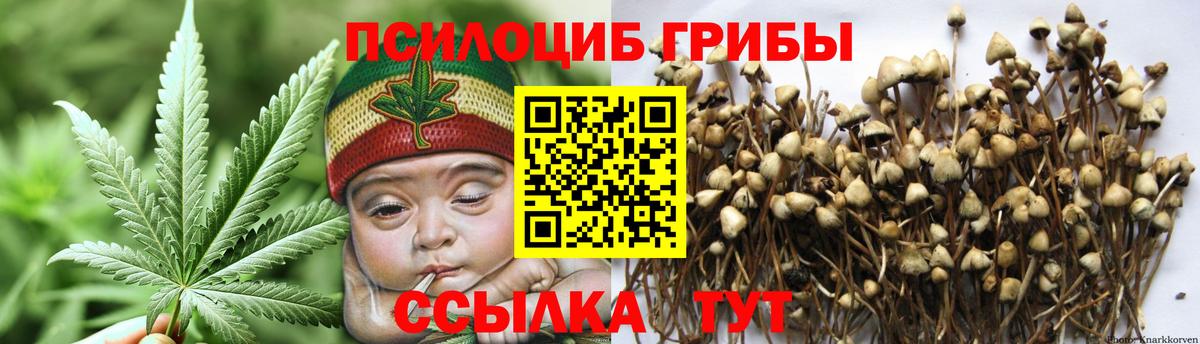Псилоцибиновые грибы ЛСД Красноуфимск