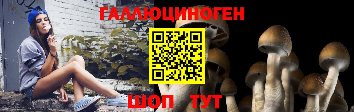 Галлюциногенные грибы MAGIC MUSHROOMS  Вход с VPN  где продают   Галлюциногенные грибы Magic Shrooms  Красноуфимск 